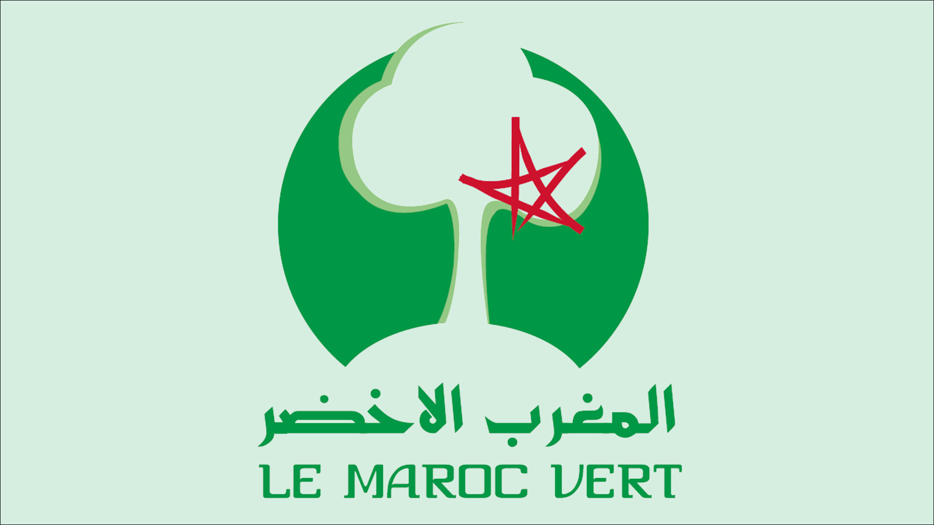 [Image de l'innovation agricole au Maroc]